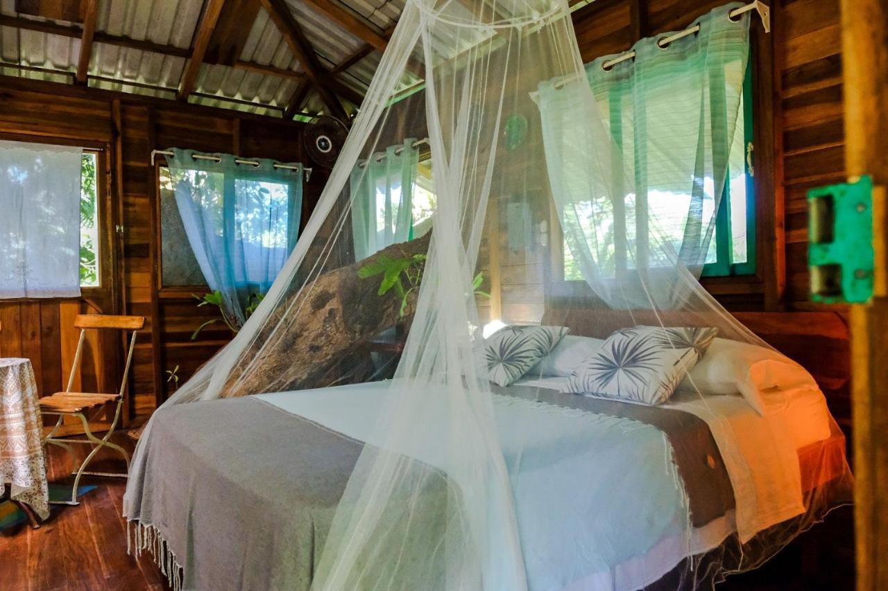 Playa Grande Lodge & Tree House กาอุยตา ภายนอก รูปภาพ