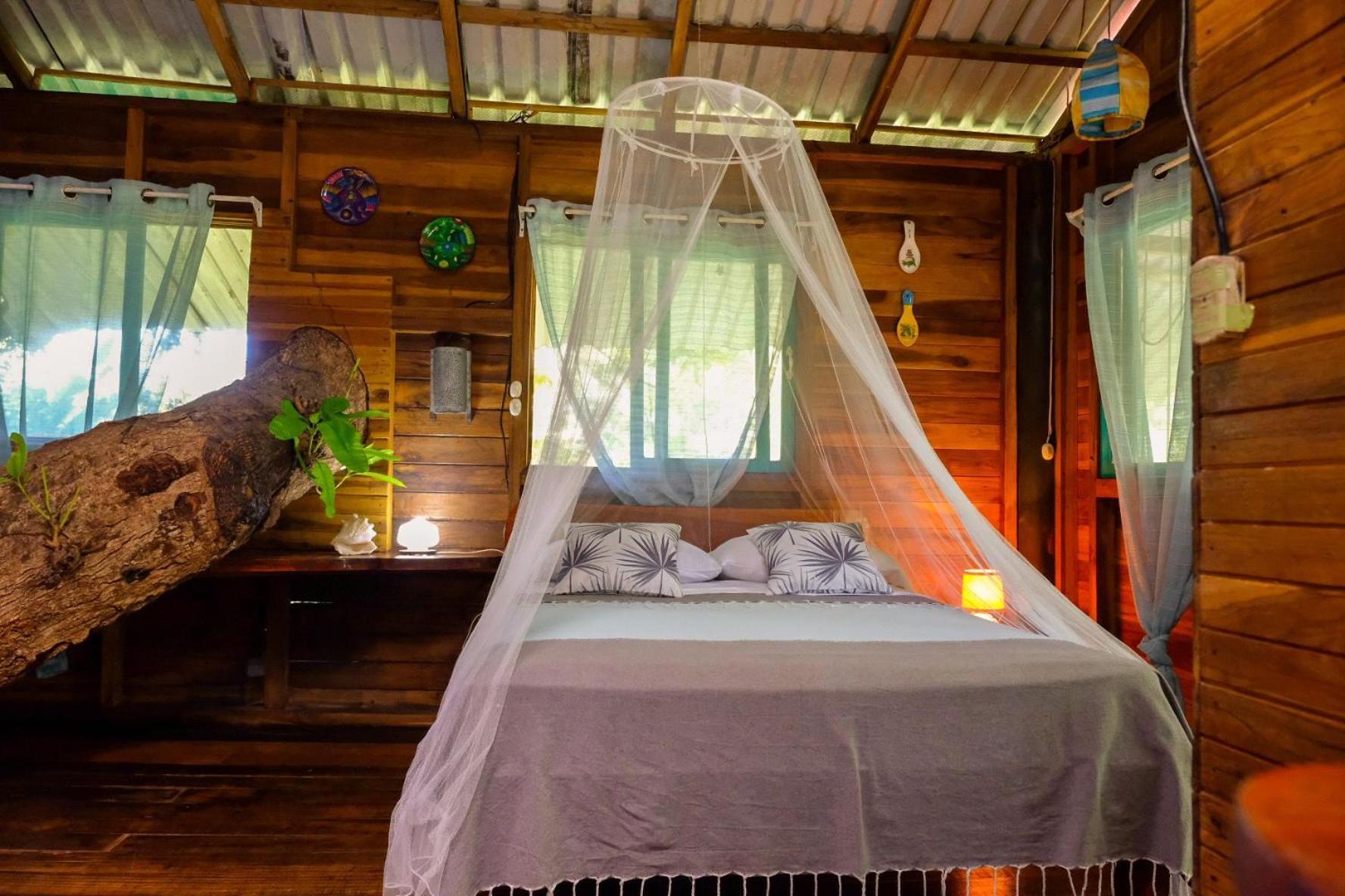 Playa Grande Lodge & Tree House กาอุยตา ภายนอก รูปภาพ