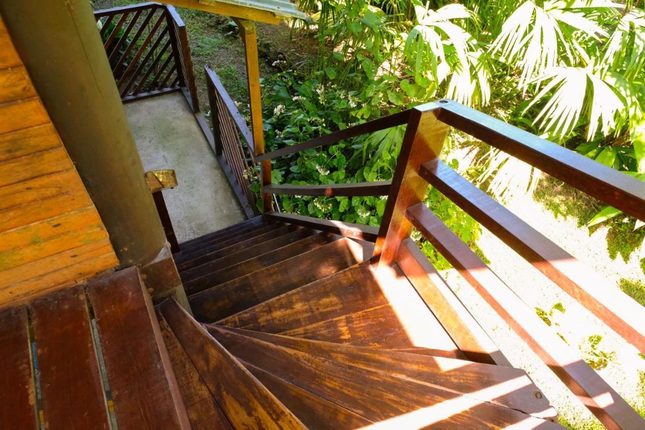 Playa Grande Lodge & Tree House กาอุยตา ภายนอก รูปภาพ