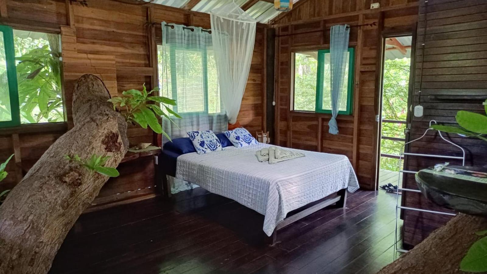 Playa Grande Lodge & Tree House กาอุยตา ภายนอก รูปภาพ