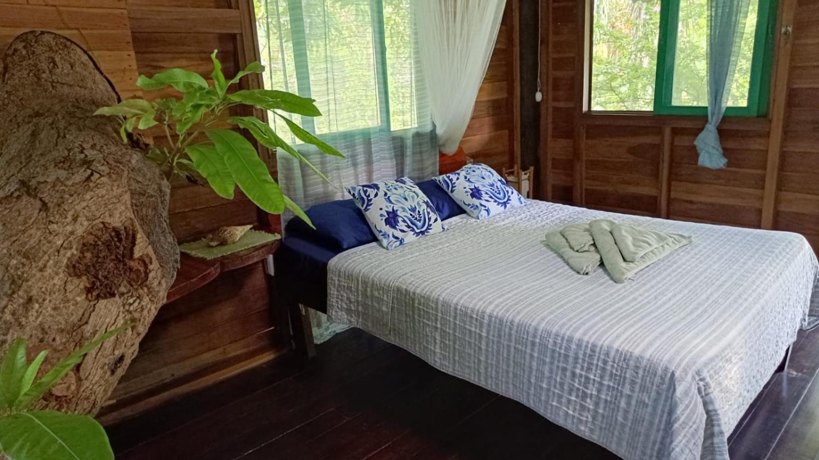 Playa Grande Lodge & Tree House กาอุยตา ภายนอก รูปภาพ