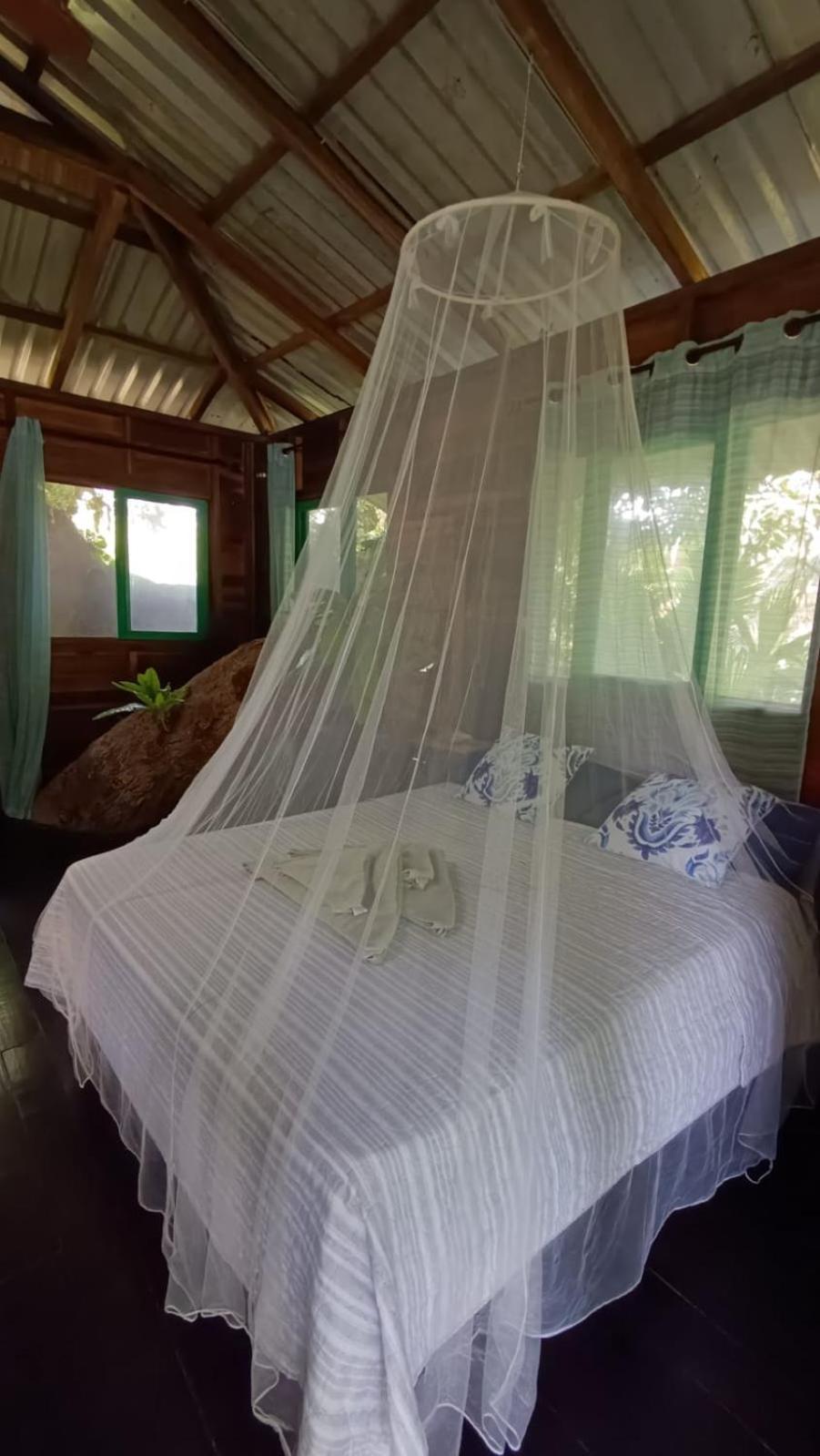 Playa Grande Lodge & Tree House กาอุยตา ภายนอก รูปภาพ
