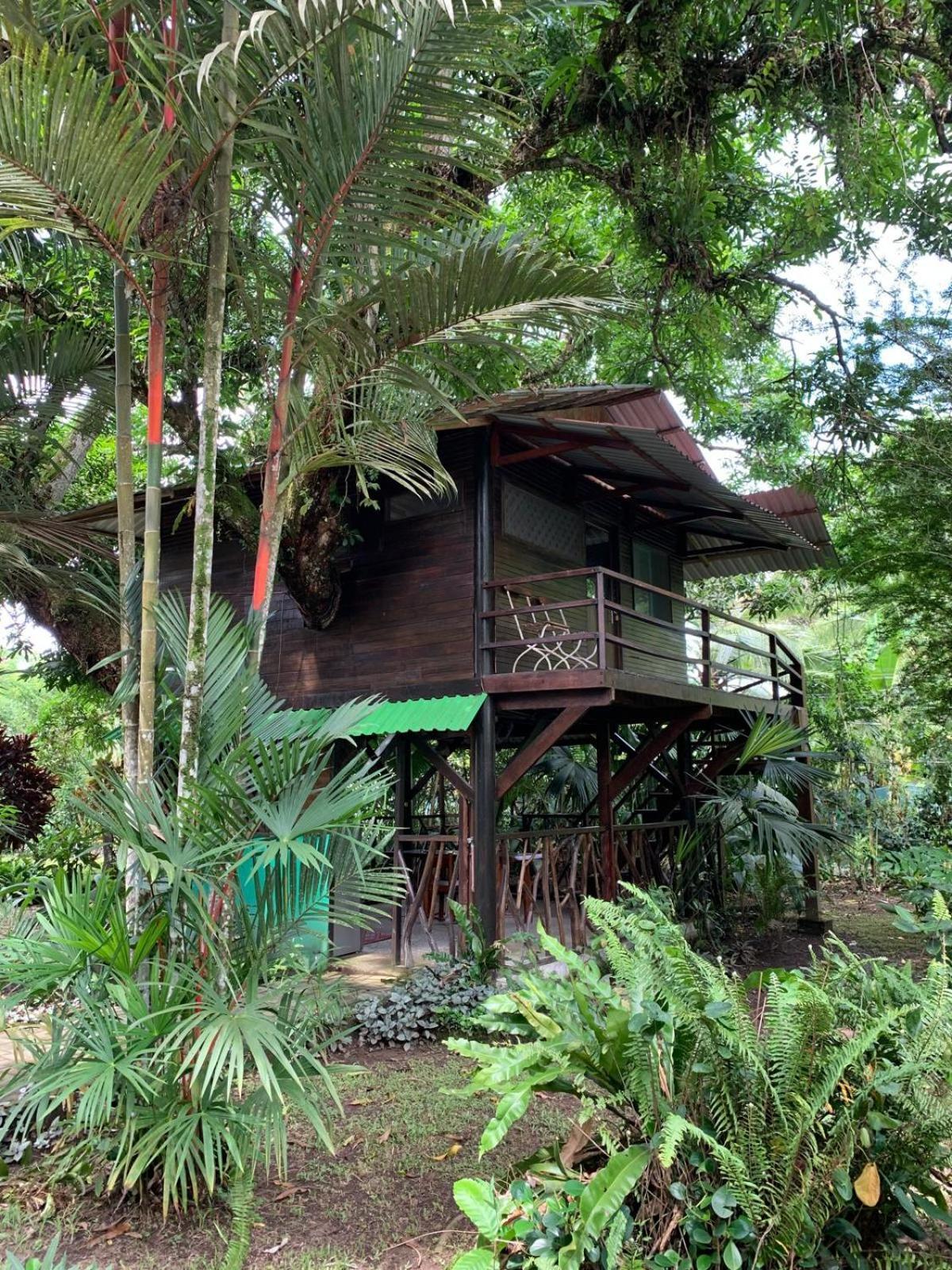 Playa Grande Lodge & Tree House กาอุยตา ภายนอก รูปภาพ