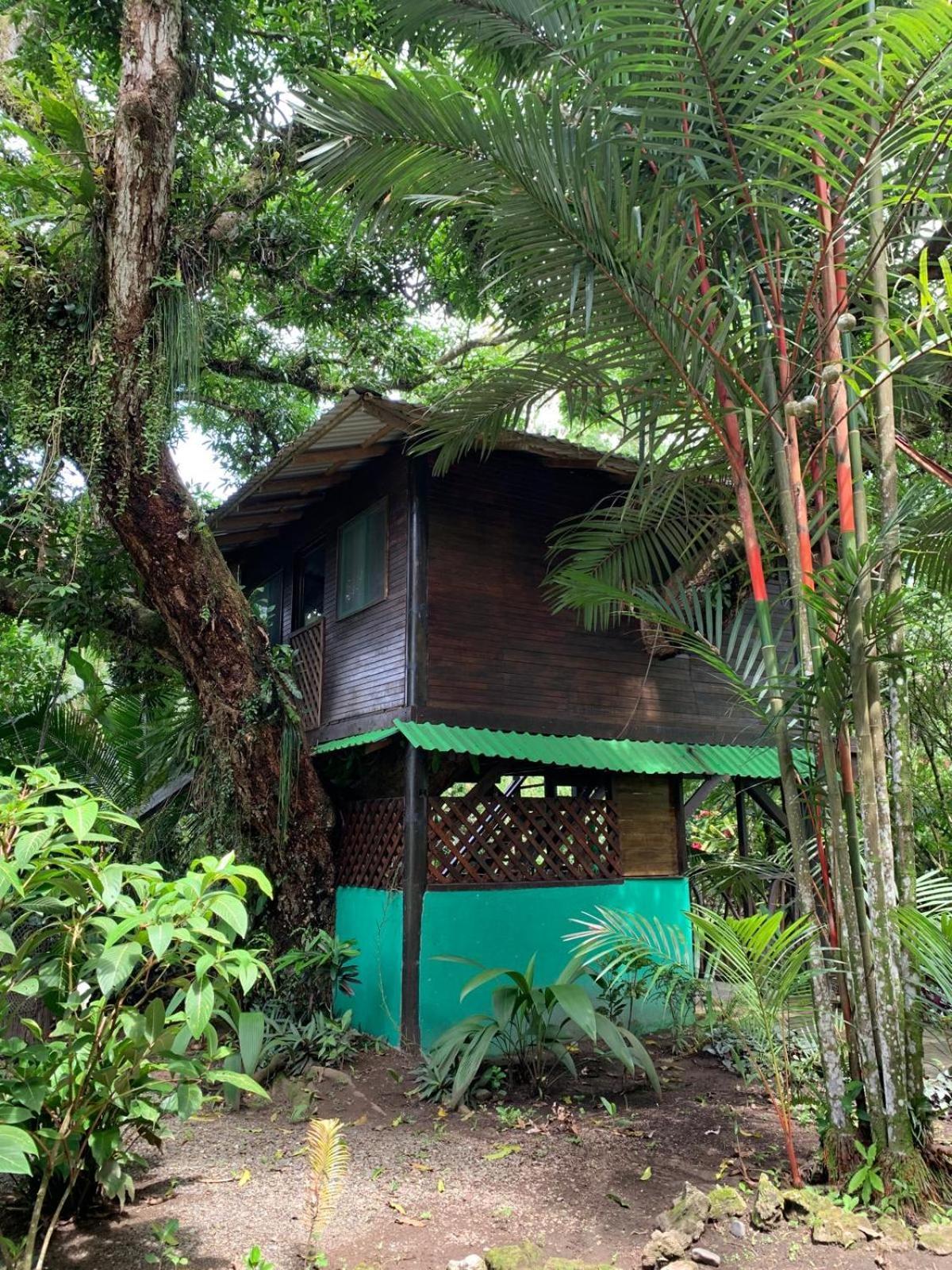 Playa Grande Lodge & Tree House กาอุยตา ภายนอก รูปภาพ