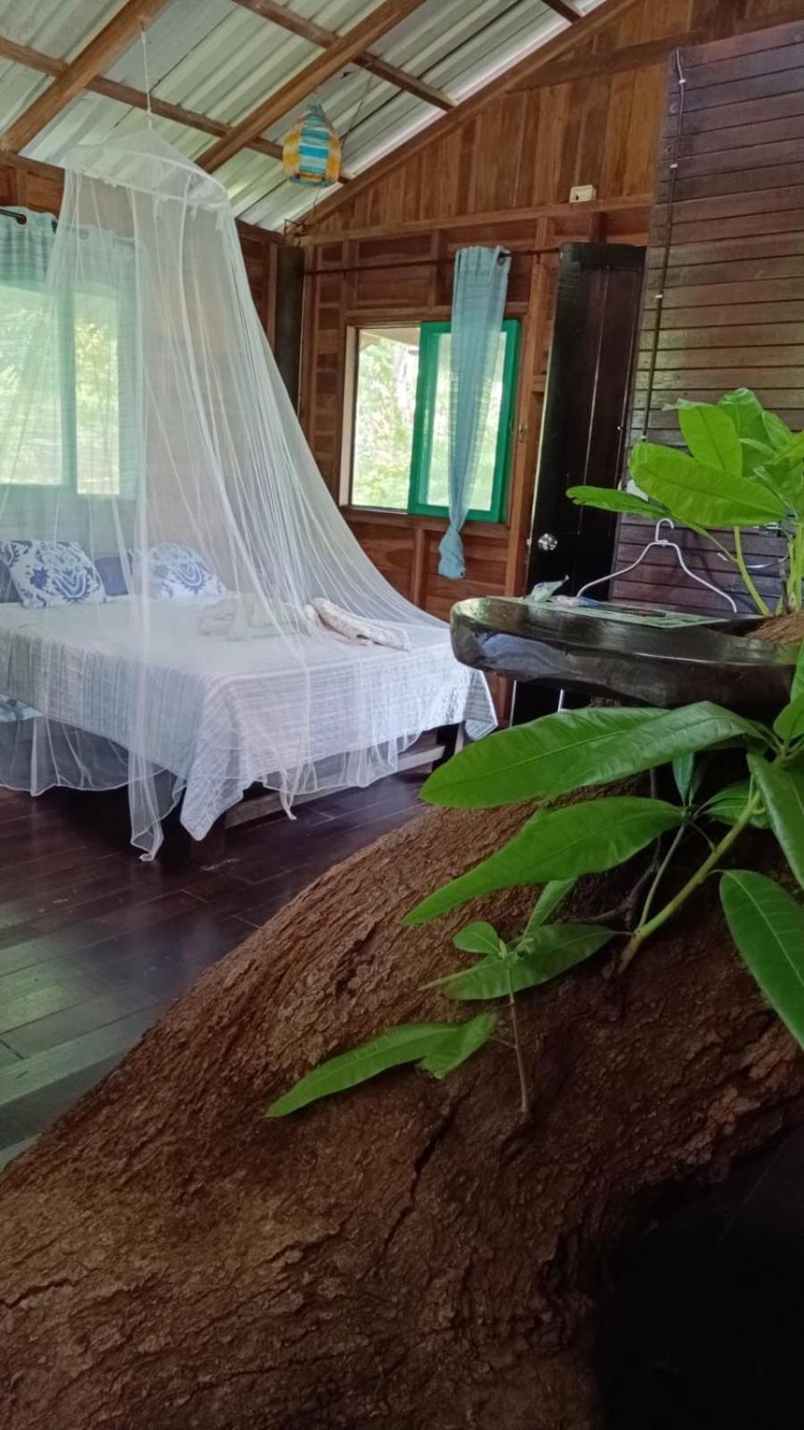 Playa Grande Lodge & Tree House กาอุยตา ภายนอก รูปภาพ