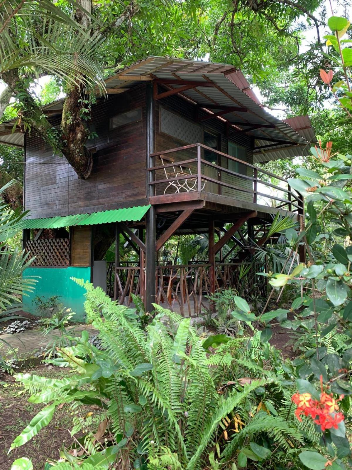 Playa Grande Lodge & Tree House กาอุยตา ภายนอก รูปภาพ