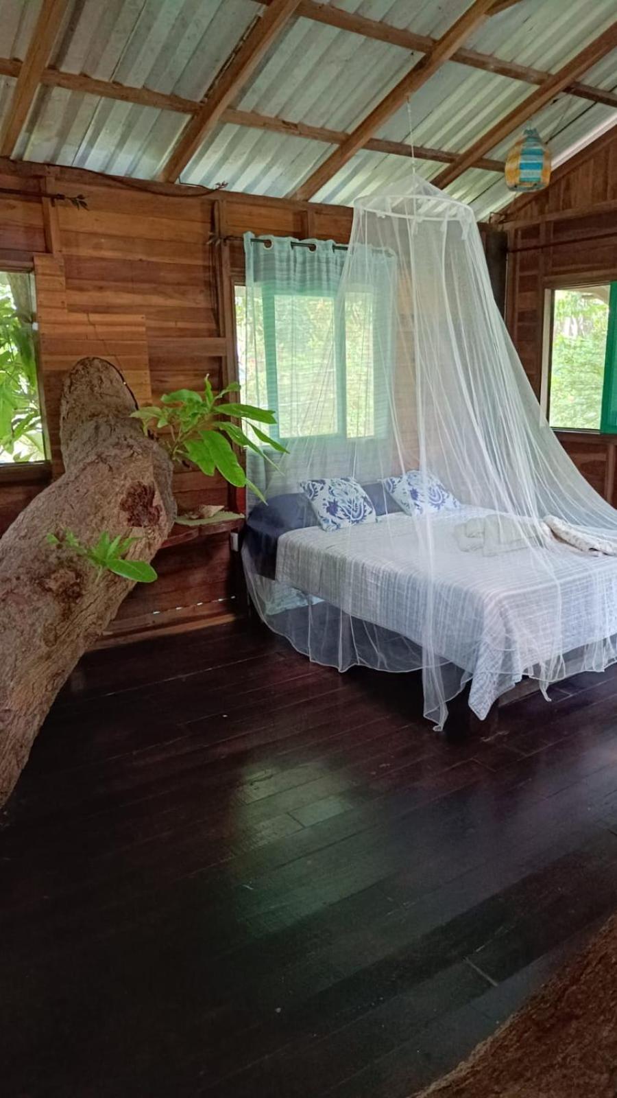 Playa Grande Lodge & Tree House กาอุยตา ภายนอก รูปภาพ