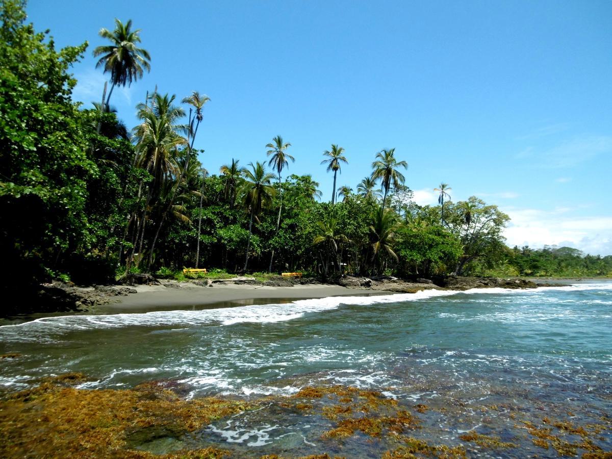 Playa Grande Lodge & Tree House กาอุยตา ภายนอก รูปภาพ