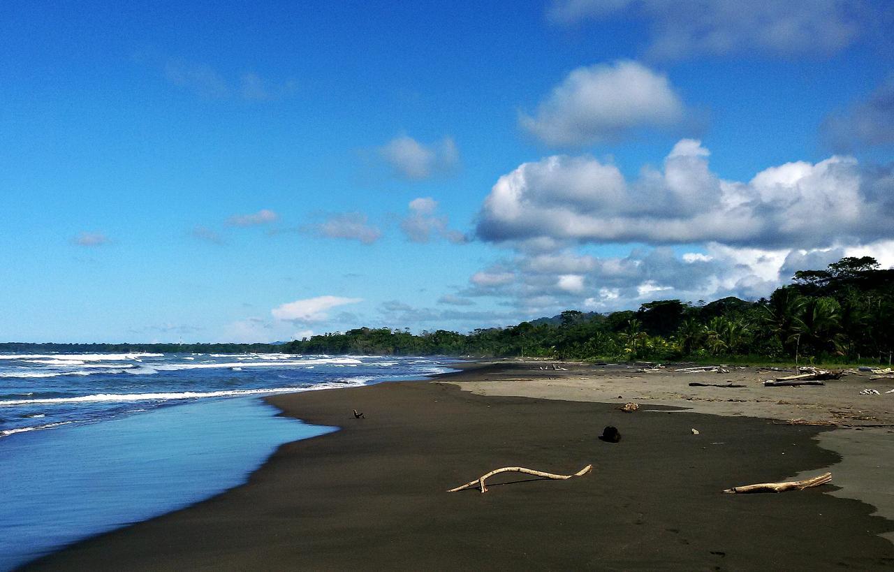 Playa Grande Lodge & Tree House กาอุยตา ภายนอก รูปภาพ